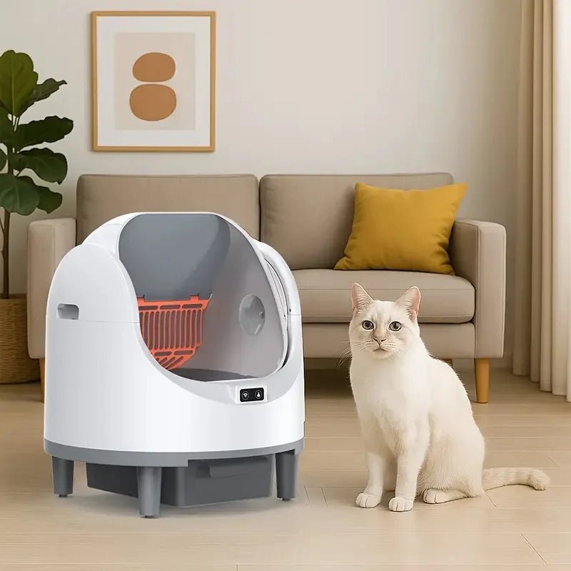 Litière automatique pour chat - ChatMour