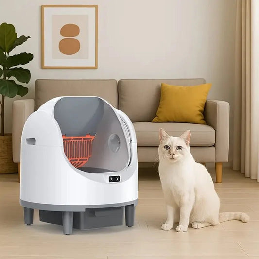 Litière automatique pour chat - ChatMour