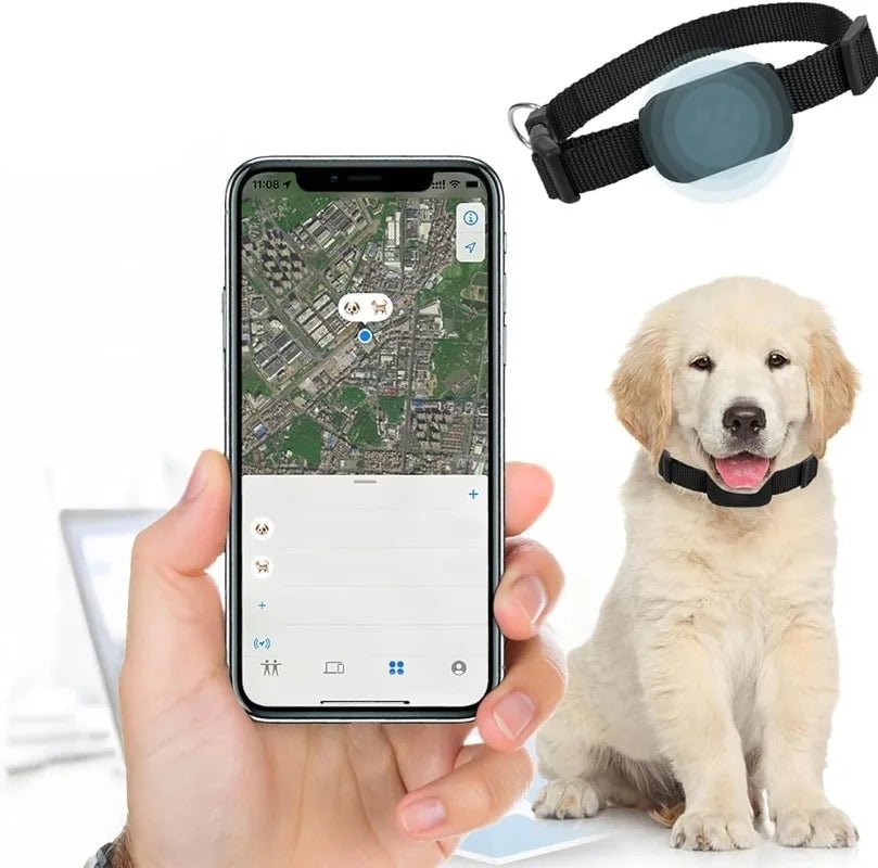 Localisateur pour chat - ChatMour