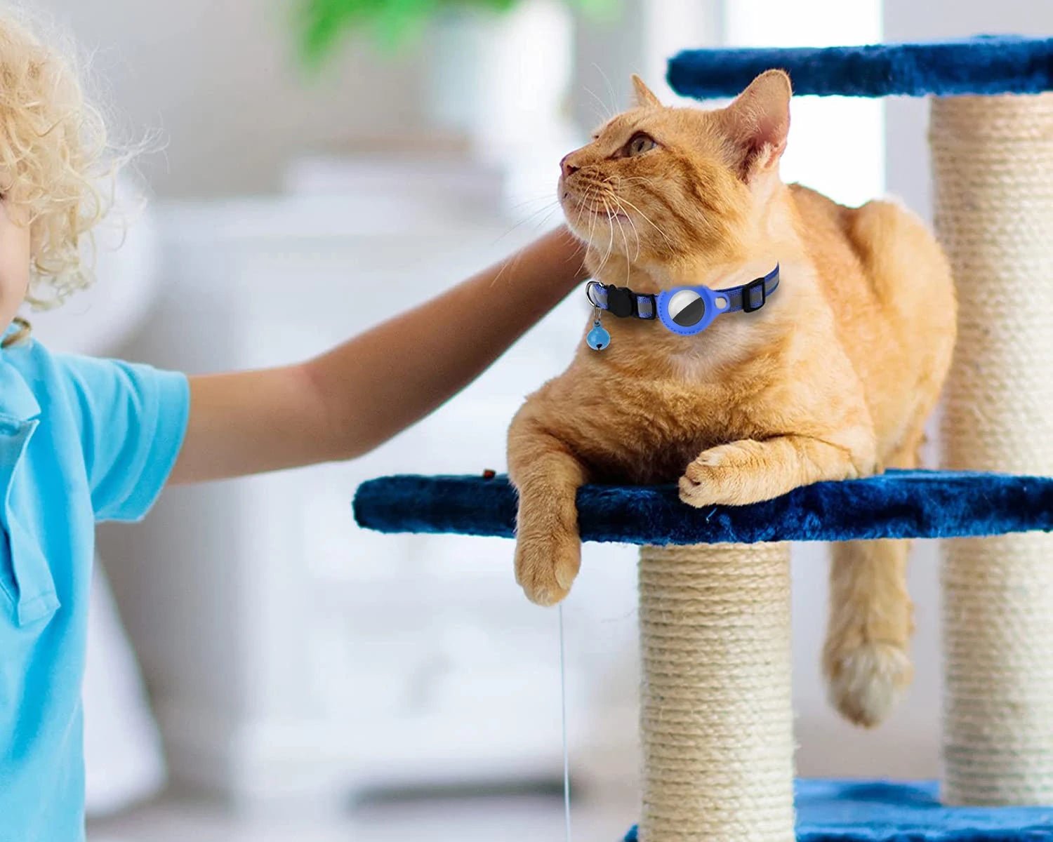 Médaille chat GPS - ChatMour