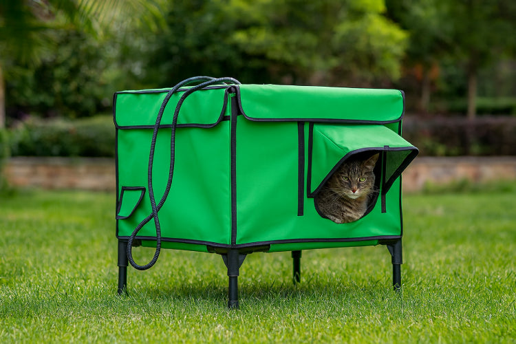 Maison extérieur chat  jardin