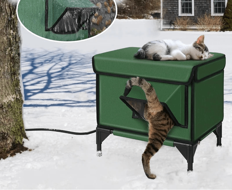 Maison extérieur chat - ChatMour