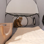 Maison tunnel pour chat - Vignette | ChatMour
