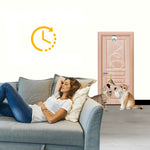 Meilleur jouet interactif pour chat - Vignette | ChatMour