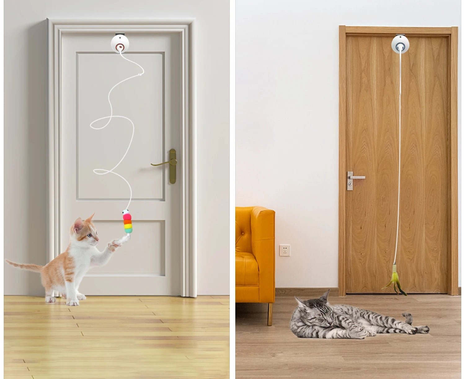 Meilleur jouet interactif pour chat - ChatMour