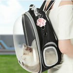 Meilleur jouets pour chat - Vignette | ChatMour