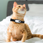 Mini camera collier chat - Vignette | ChatMour