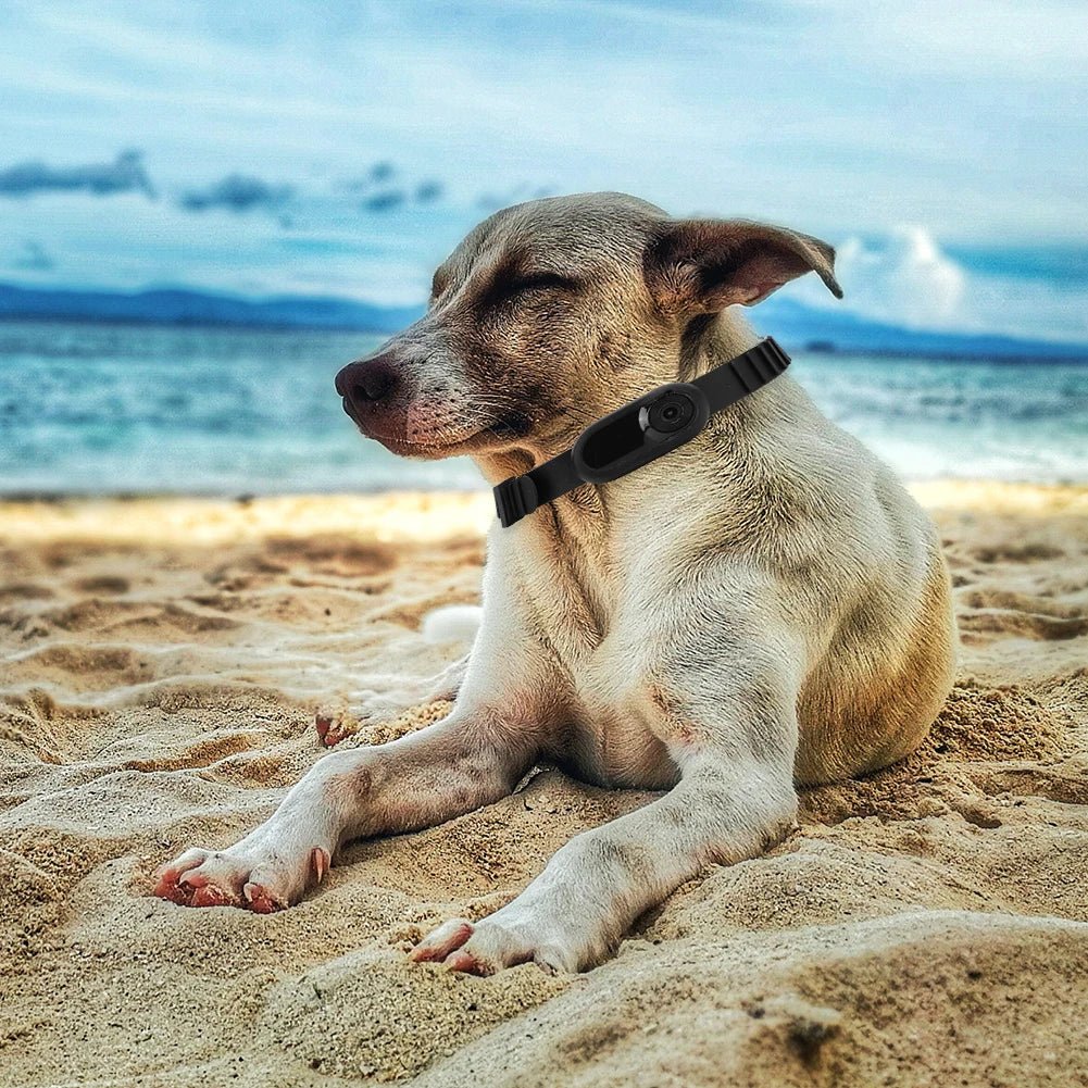 Mini camera collier chat - ChatMour