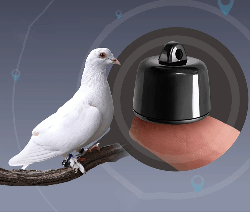 Mini traceur GPS pour chat - ChatMour