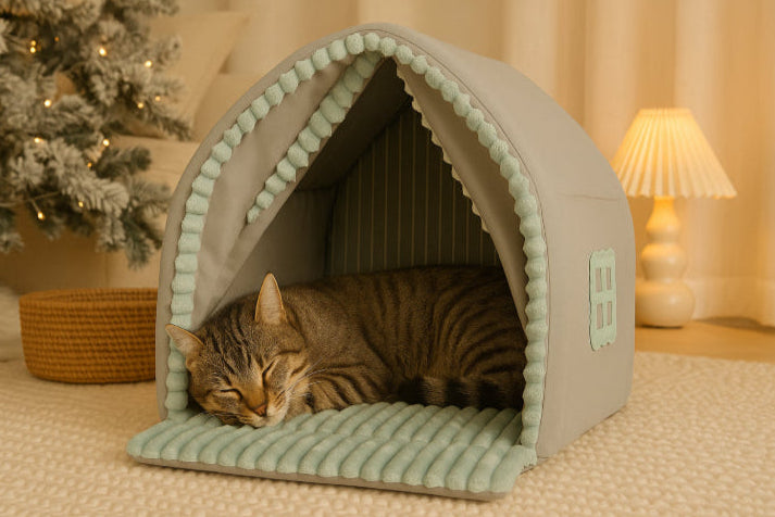 Niche intérieur hiver pour chat plante