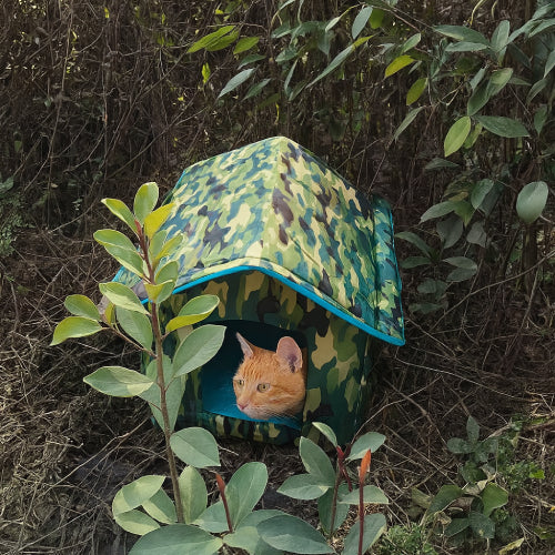 Niche pour chat extérieur isolée foret