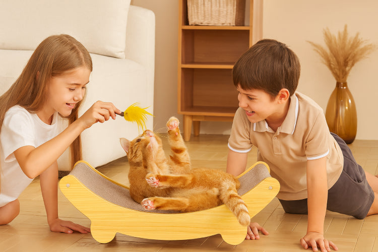 Planche à gratter pour chat enfants