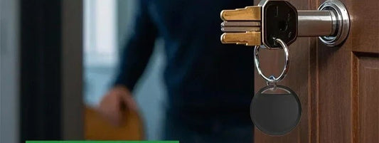 Puces GPS chat - ChatMour