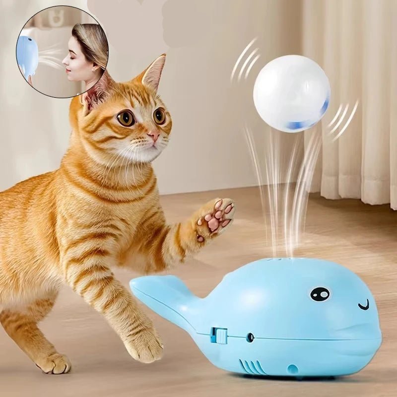 Robot chat jouet - ChatMour