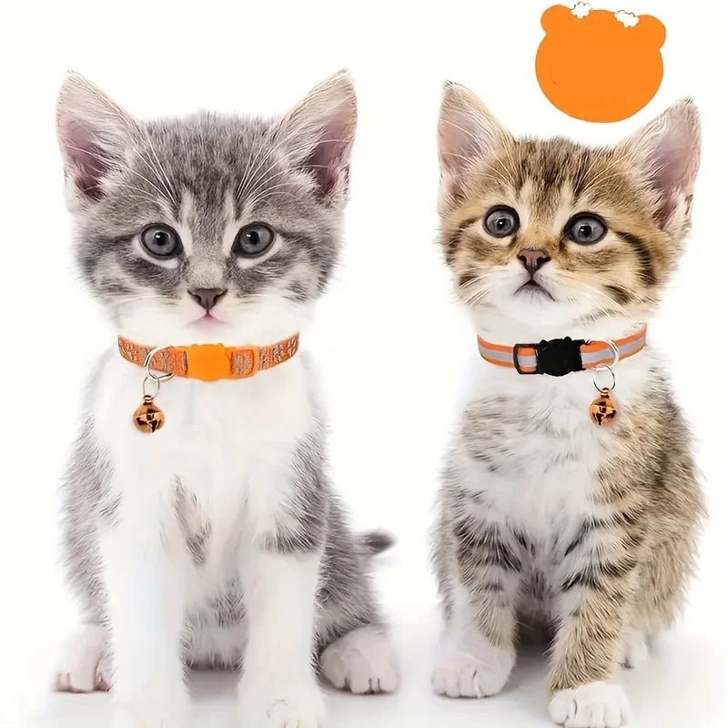 Collier chat réfléchissant - ChatMour