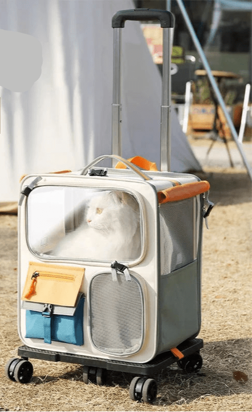 Sac de transport avion pour chat - ChatMour