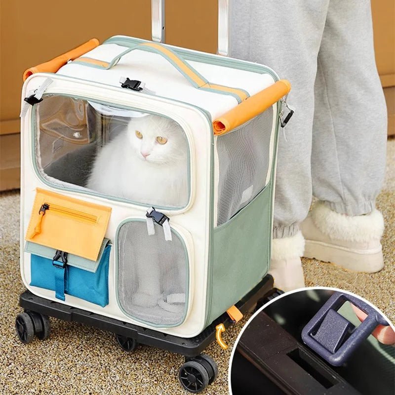 Sac de transport avion pour chat - ChatMour