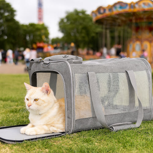 Sac de transport pour chat jardin