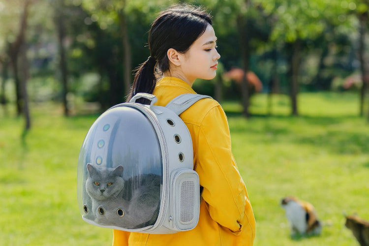 Sac à dos bulle pour chat jardin