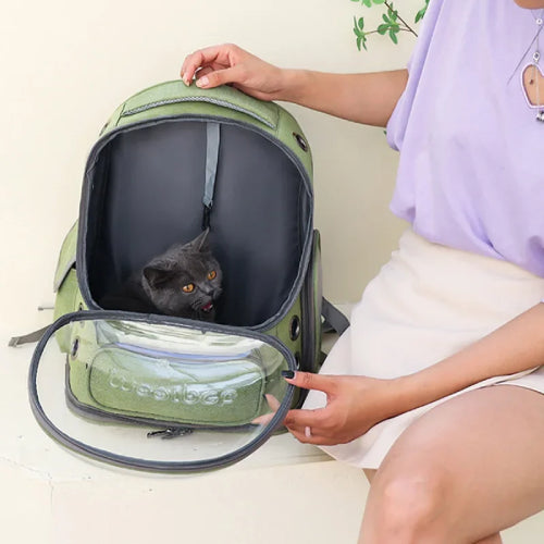 Sac à dos de transport chat fenêtre 
