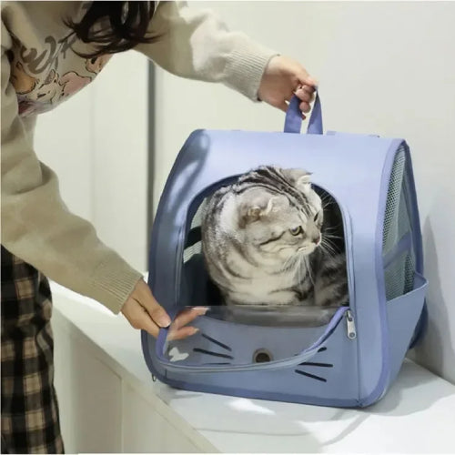 Sac à dos pour chat bleu fenêtre