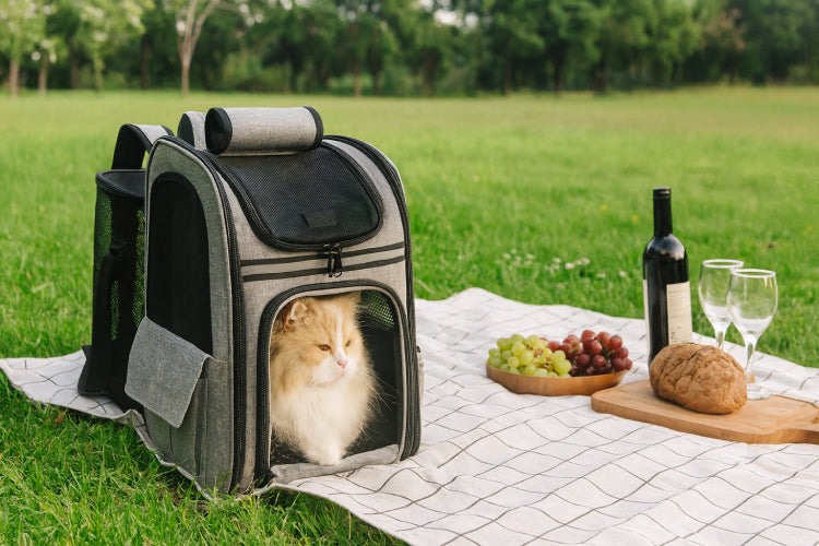 Sac à dos pour grand chat drap