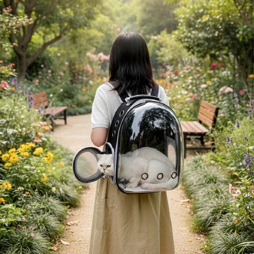 Sac à dos transparent chat fille