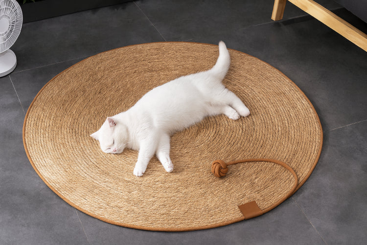 Tapis à gratter sol