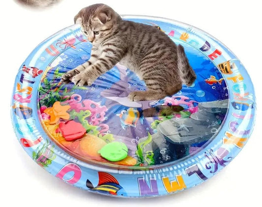 Tapis jeu d'eau pour chat - ChatMour