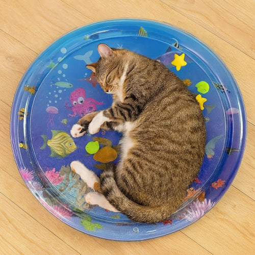 Tapis lit d'eau pour chat parquet