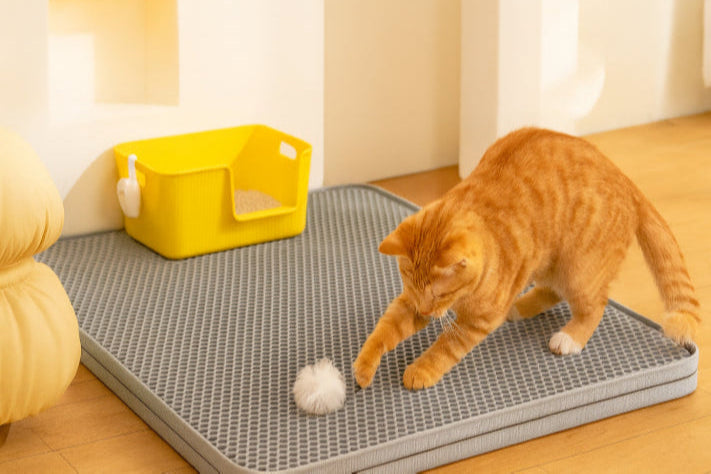 Tapis litière chat XXL balle