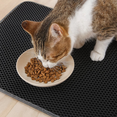 Tapis litière chat noir croquettes