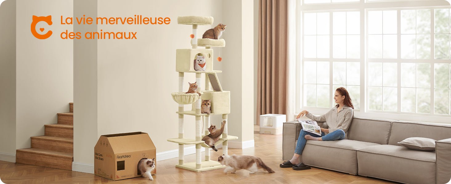 Arbre à chat beige - ChatMour