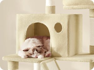 Arbre à chat beige - ChatMour