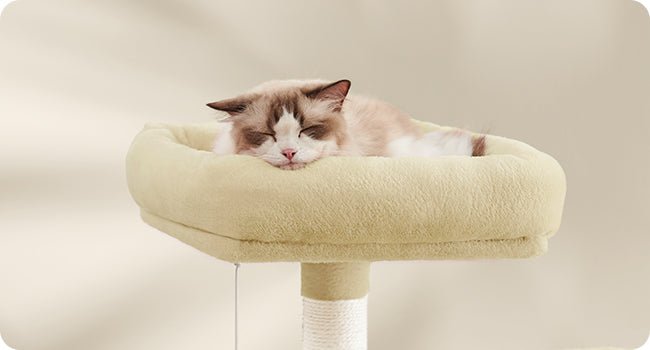 Arbre à chat beige - ChatMour