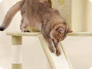 Arbre à chat beige - ChatMour