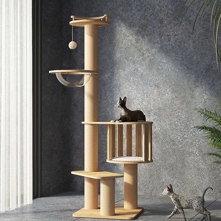 Arbre à chat bois - ChatMour