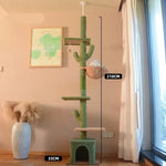 Arbre à chat cactus - Vignette | ChatMour