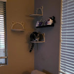 Arbre à chat extérieur - Vignette | ChatMour