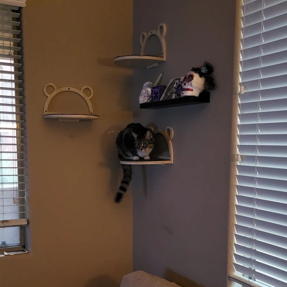 Arbre à chat extérieur - ChatMour