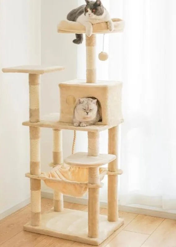 Arbre à chats - ChatMour