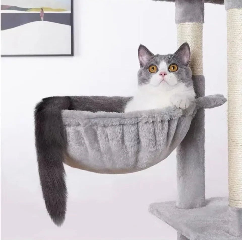 Arbre à chats - ChatMour