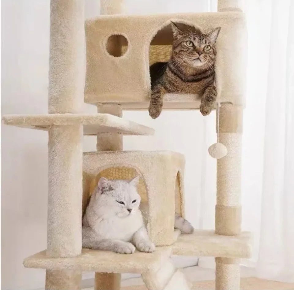 Arbre à chats - ChatMour