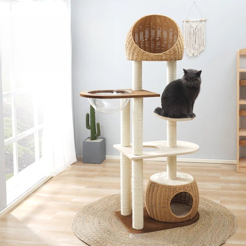 Géant arbre à chat - ChatMour