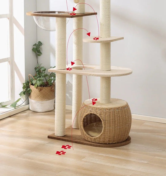 Géant arbre à chat - ChatMour