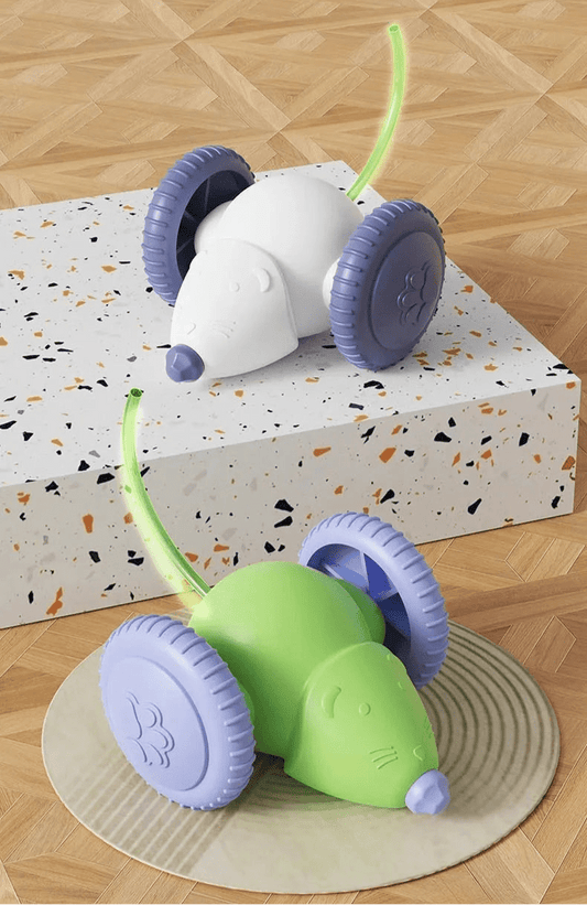 Jouet chat - ChatMour