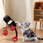 Jouet de Boxing  interactif pour chat - Vignette | ChatMour