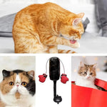 Jouet de Boxing  interactif pour chat - Vignette | ChatMour