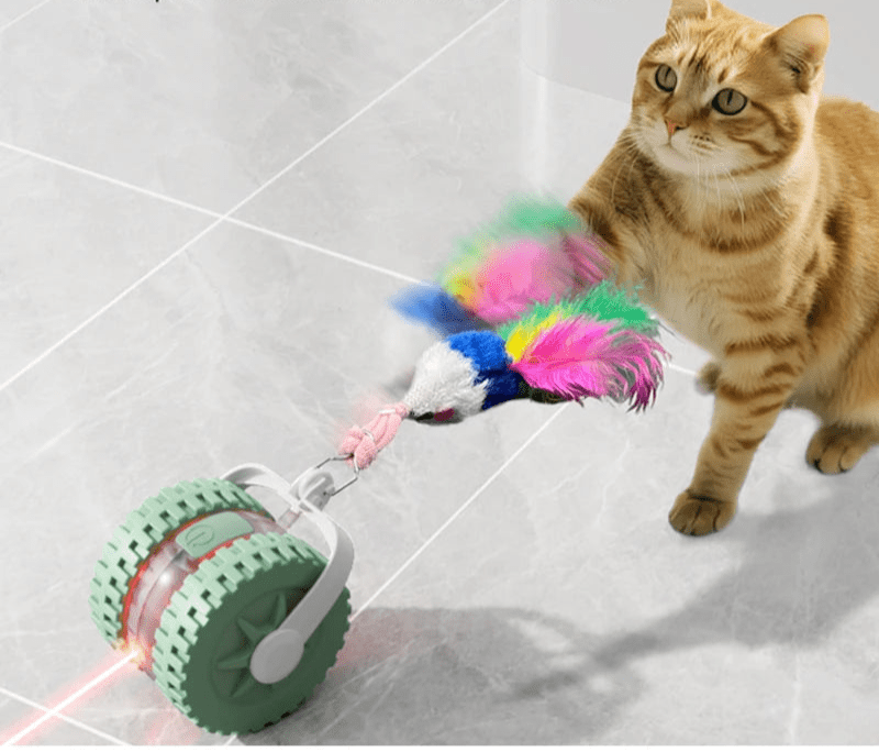 Jouet pour chat laser - ChatMour