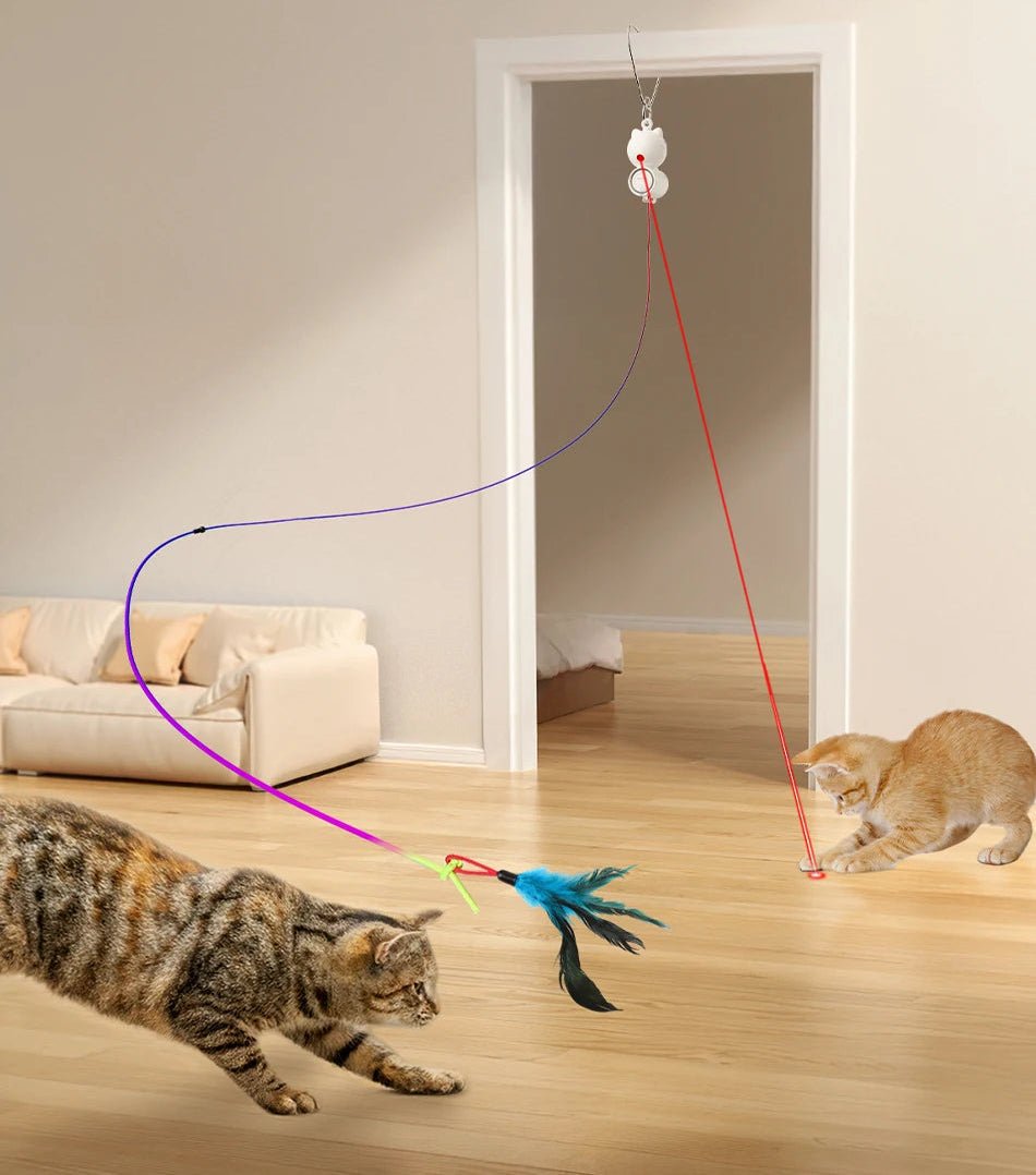 Jouet pour chat qui s'ennuie - ChatMour